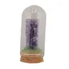 Cupola cu cristal natural cluster Ametist, 65mm, imagine 2