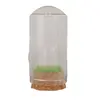 Cupola cu cristal natural Selenit brut, 65mm, imagine 2