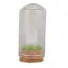 Cupola cu cristal natural Selenit brut, 65mm, imagine 3