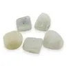 Magnet Jadeit rulat, 25-30mm