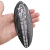 Fosila Orthoceras mare, 10-14cm, imagine 4