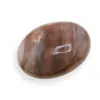 Palm Stone Agat Crazy Lace C59, 64g