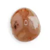Palm Stone Agat Flower C100, 60g