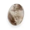 Palm stone Cuart fumuriu C122, 88g