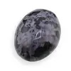 Palm Stone Merlinit C138, 98g