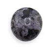 Palm Stone Merlinit C139, 84g