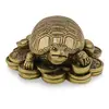 Statueta Feng Shui broasca testoasa pe monede chinezesti pentru prosperitate, imagine 2