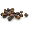 Ochi de tigru cristal rulat, 8-12g, imagine 3