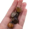 Ochi de tigru cristal rulat, 8-12g, imagine 4
