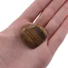 Inima rulata Ochi de tigru, 30-40mm, imagine 3