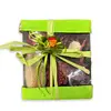 Cutie decorativa cu conifere, verde