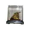 Statueta premium Broasca raioasa cu moneda in gura