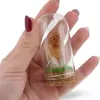 Cupola cu cristal natural Citrin cu varf, 65mm, imagine 3