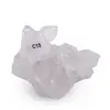 Cristal de Stanca, cluster natural unicat, C15