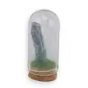 Cupola cu cristal natural Kianit, 65mm