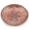 Farfurie decorativa vintage din cupru ciocanit, model stea, 16,5cm