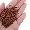 Spartura goldstone maro pietre chips 300g, imagine 3