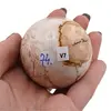 Jasp orbicular, sfera naturala unicat, V7, imagine 2