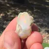 Opal Etiopian de Foc, brut, E2, imagine 2