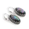 Cercei cu agatatoare model oval cu montura argintie, Scoica abalone - 20mm, imagine 2