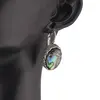 Cercei cu agatatoare model oval cu montura argintie, Scoica abalone - 20mm, imagine 3