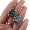 Cercei cu agatatoare model oval cu montura argintie, Scoica abalone - 20mm, imagine 4