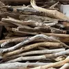 Lemn natural Driftwood, 1 kg, imagine 2