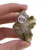 Epidot cristal natural unicat, E76, imagine 3
