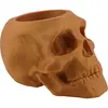 Decoratiune / Suport pentru cristale, model craniu, galben - 9cm