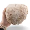 Geoda de Calcedonie naturala din Maroc, 1-1,5kg, imagine 5