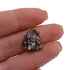 Meteorit New Campo del Cielo
, cristal unicat C16, imagine 2