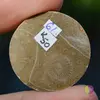 Cabochon coral fosilic 29x29x6mm K50