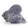 Felie slefuita unicat din Coral albastru, C2