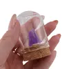 Coquimbite cristal rar natural unicat, A18