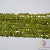 Sirag peridot (olivina) chipsuri 80cm