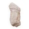 Cuart sceptru, cristal natural unicat, 52x21mm, 25.17g, cod A9