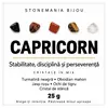 Mix cristale chips zodia Capricorn, 5 pietre de 5-9 mm, 25 g, cu cartonas