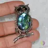 Brosa / Pandantiv bufnita scoica abalone