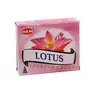Conuri parfumate fumigatie HEM Lotus 10 buc, imagine 2