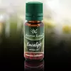 Ulei parfumat aromaterapie Eucalipt 10ml - Aroma Land