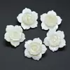 Brosa / Pandantiv floare mica sidef alb 32mm