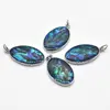 Pandantiv oval mic din scoica abalone