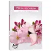 Set 6 pastile lumanari parfumate Bispol - Plum Blossom