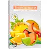Set 6 pastile lumanari parfumate Bispol - Tropical Fruits