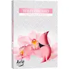 Set 6 pastile lumanari parfumate Bispol - Wild Orchid