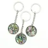 Breloc scoica abalone rotund cu montura 32mm