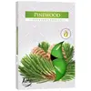 Set 6 pastile lumanari parfumate Bispol - Pinewood