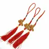 Amuleta canaf Feng Shui caine cu crap