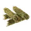 Buchet rozmarin (Rosemary) 12cm