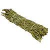 Buchet rozmarin (Rosemary) 12cm, imagine 4
